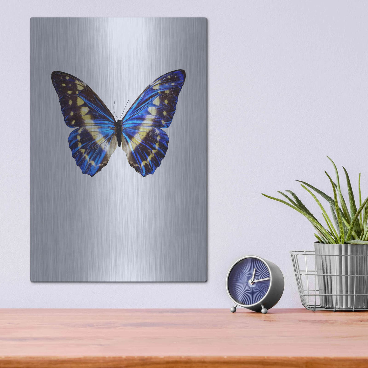 'Blue Butterfly' by Incado – Metal Wall Art, 12x16 room view