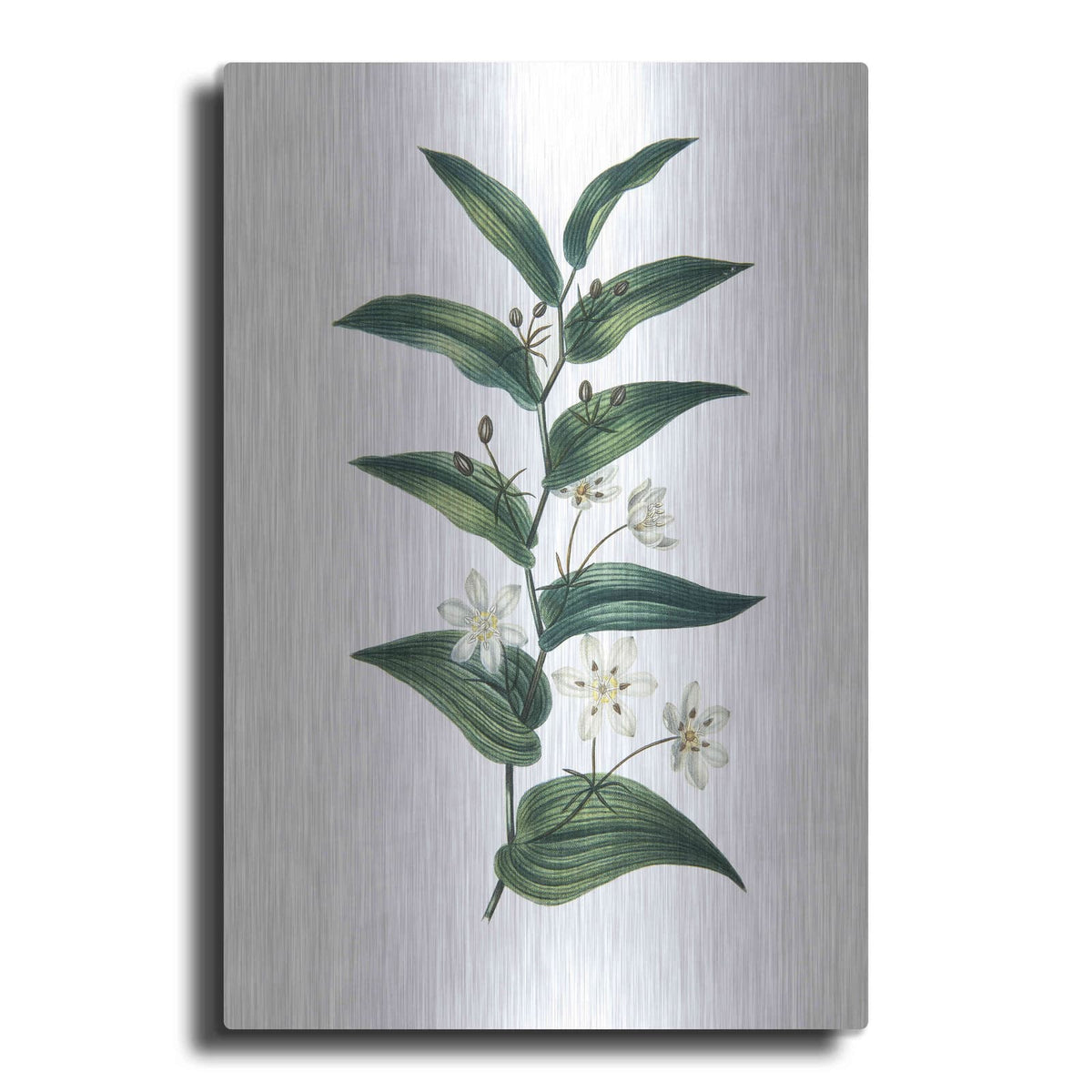 'Botanica I' by Incado – Metal Wall Art