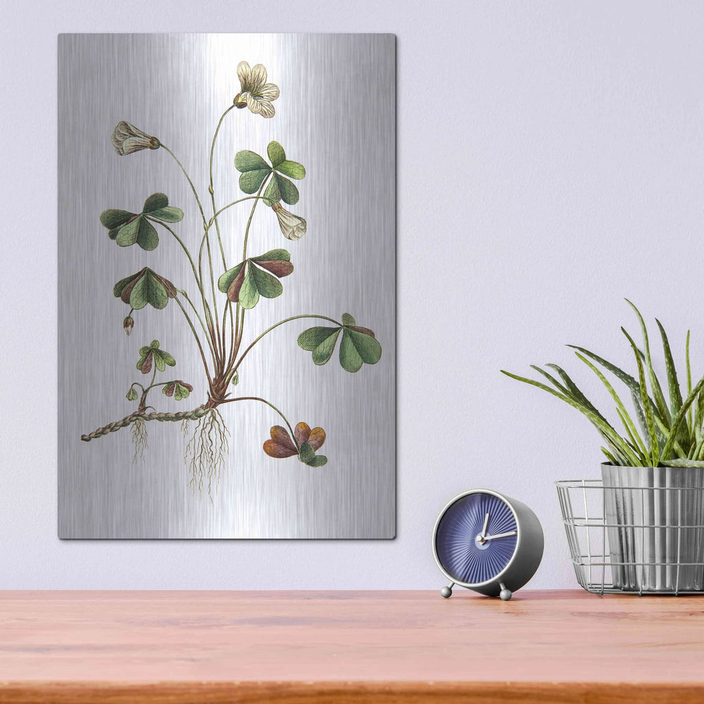 'Botanica II' by Incado – Metal Wall Art, 12x16 room view