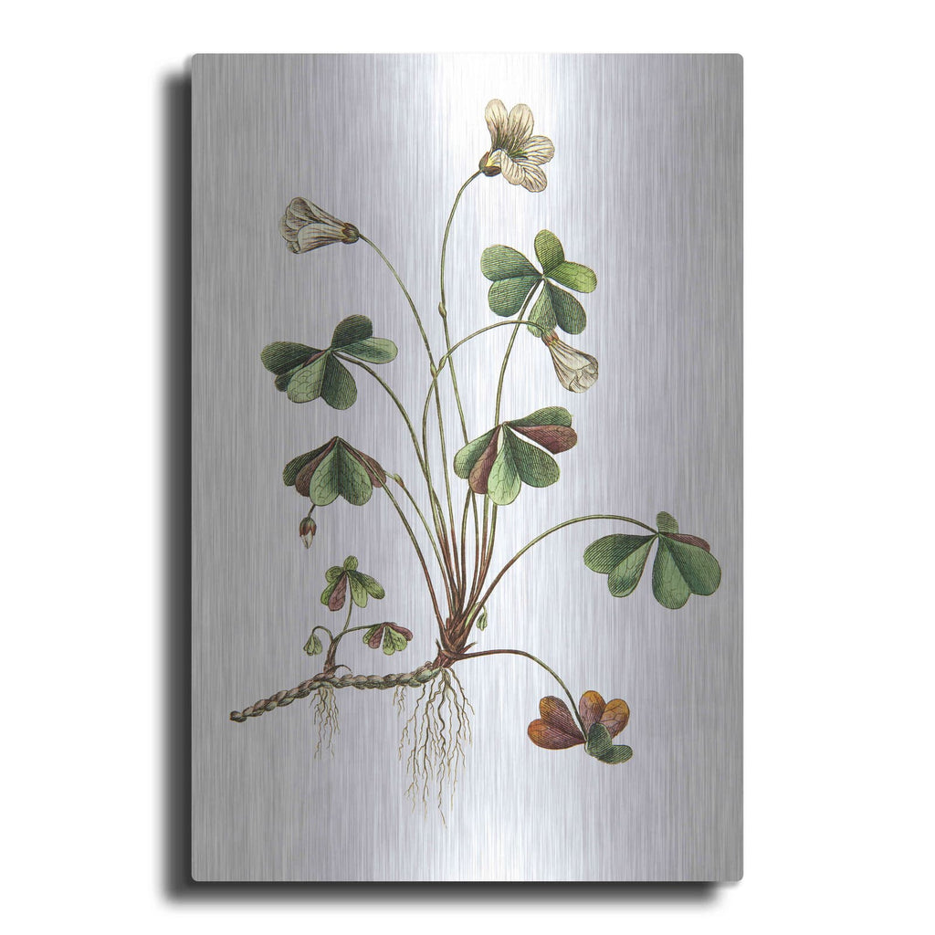 'Botanica II' by Incado – Metal Wall Art