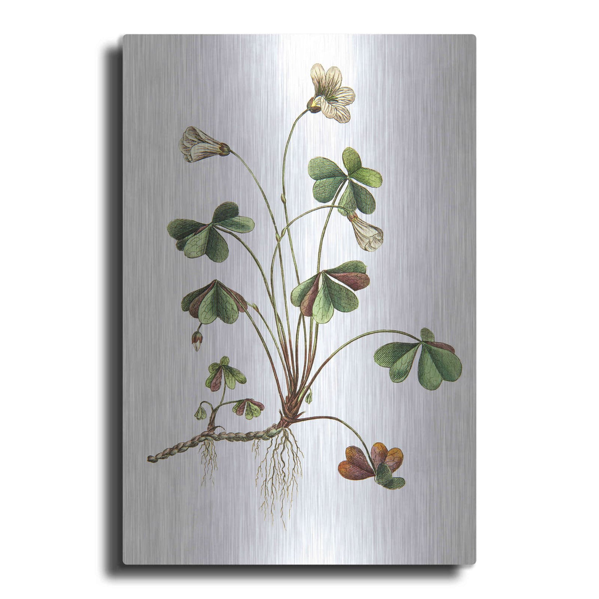 'Botanica II' by Incado – Metal Wall Art