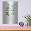 'Botanical I' by Incado – Metal Wall Art, 12x16 room view