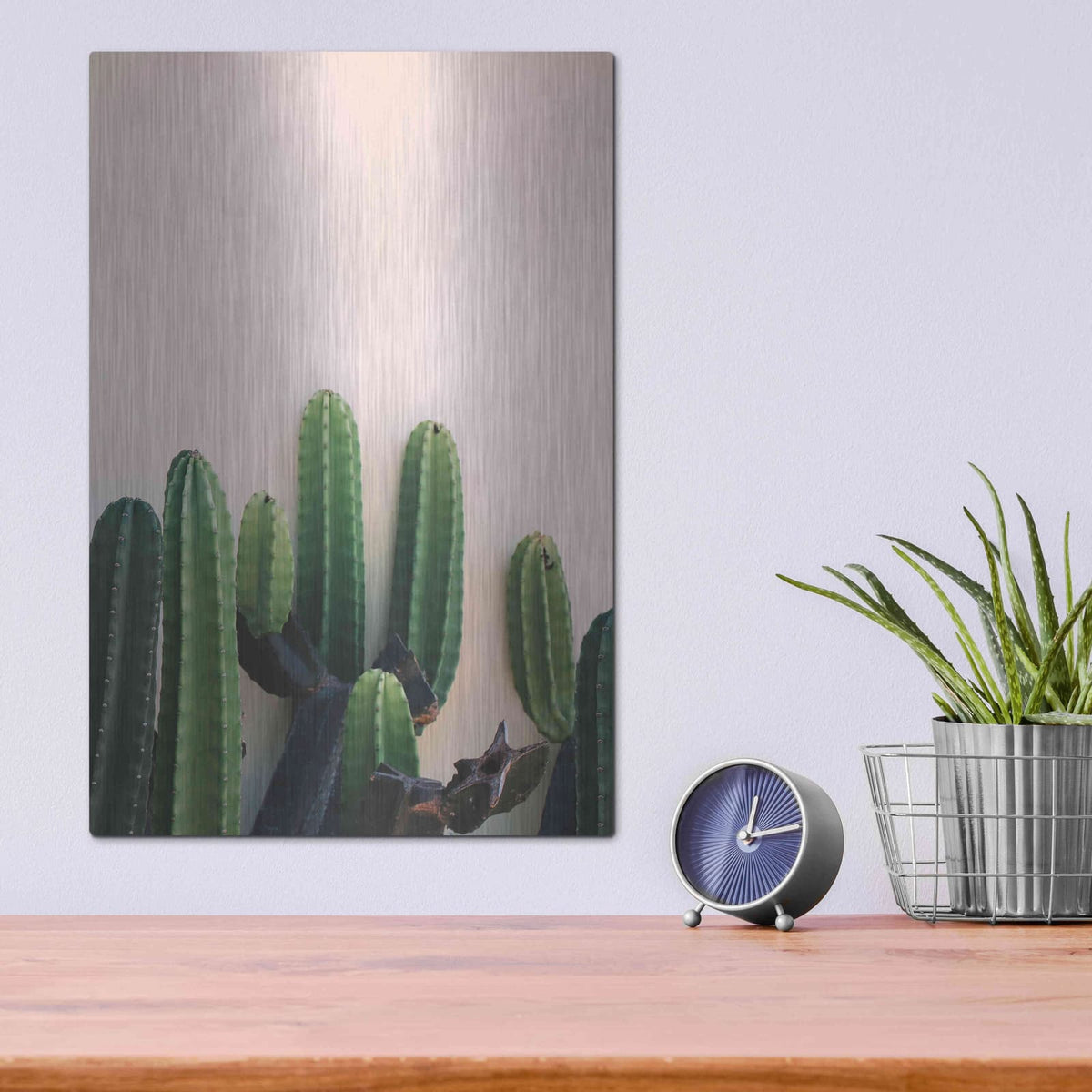 'Cactus on Pink' by Incado – Metal Wall Art, 12x16 room view