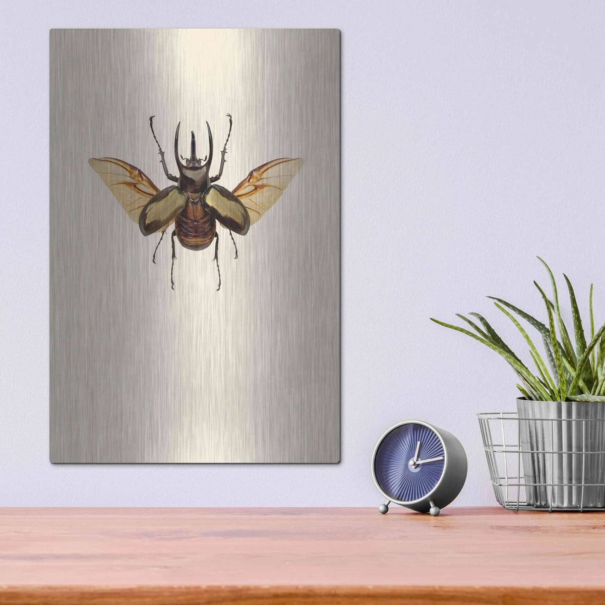 'Chalcosoma atlas' by Incado – Metal Wall Art, 12x16 room view
