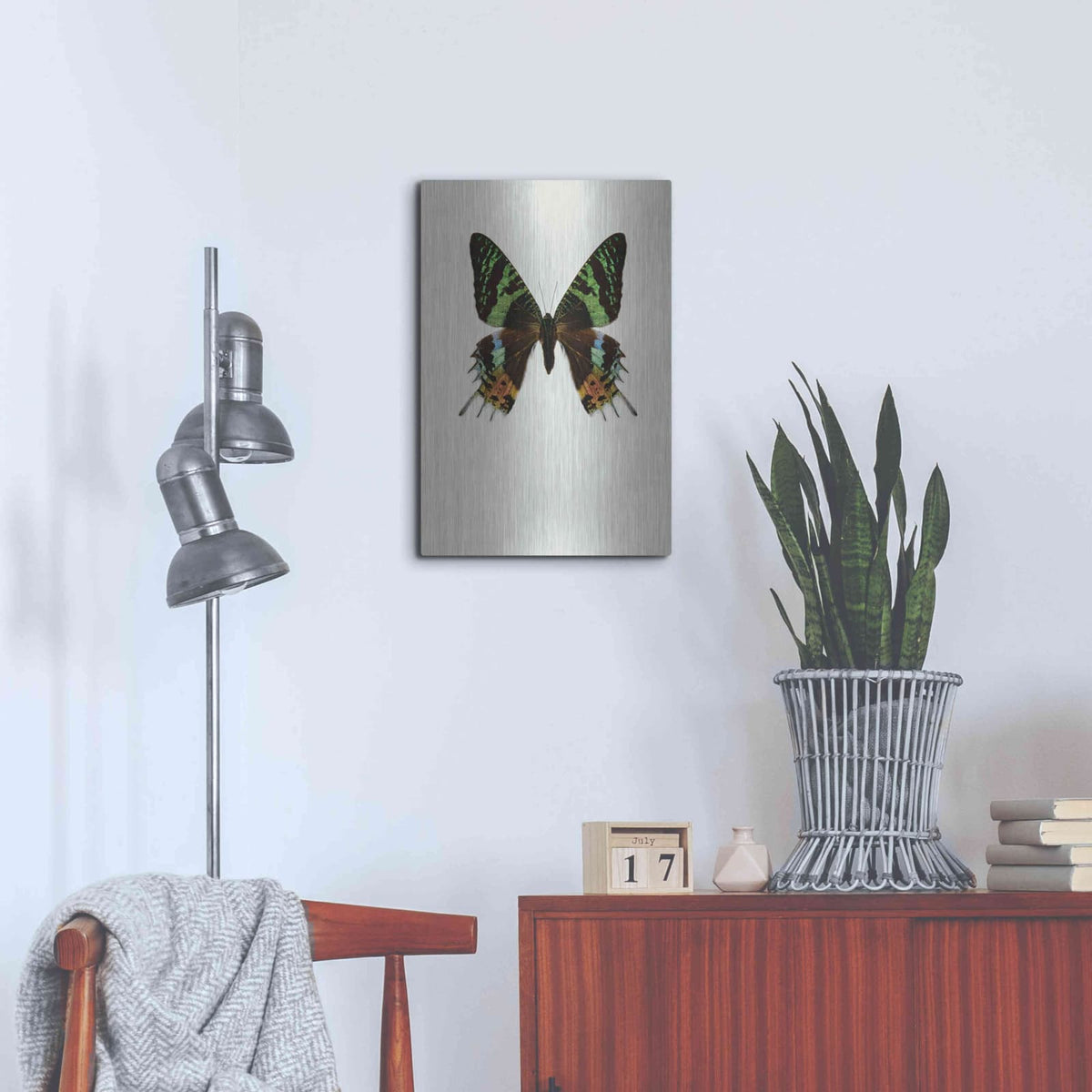 'Chrysiridia Rhipheus' by Incado – Metal Wall Art, 16x24 room view