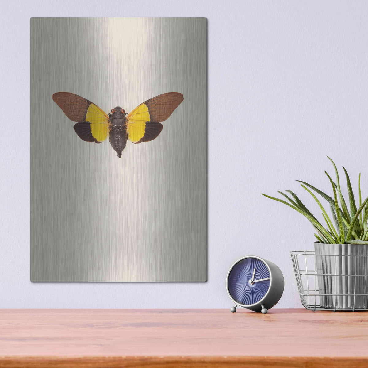 'Cicada' by Incado – Metal Wall Art, 12x16 room view