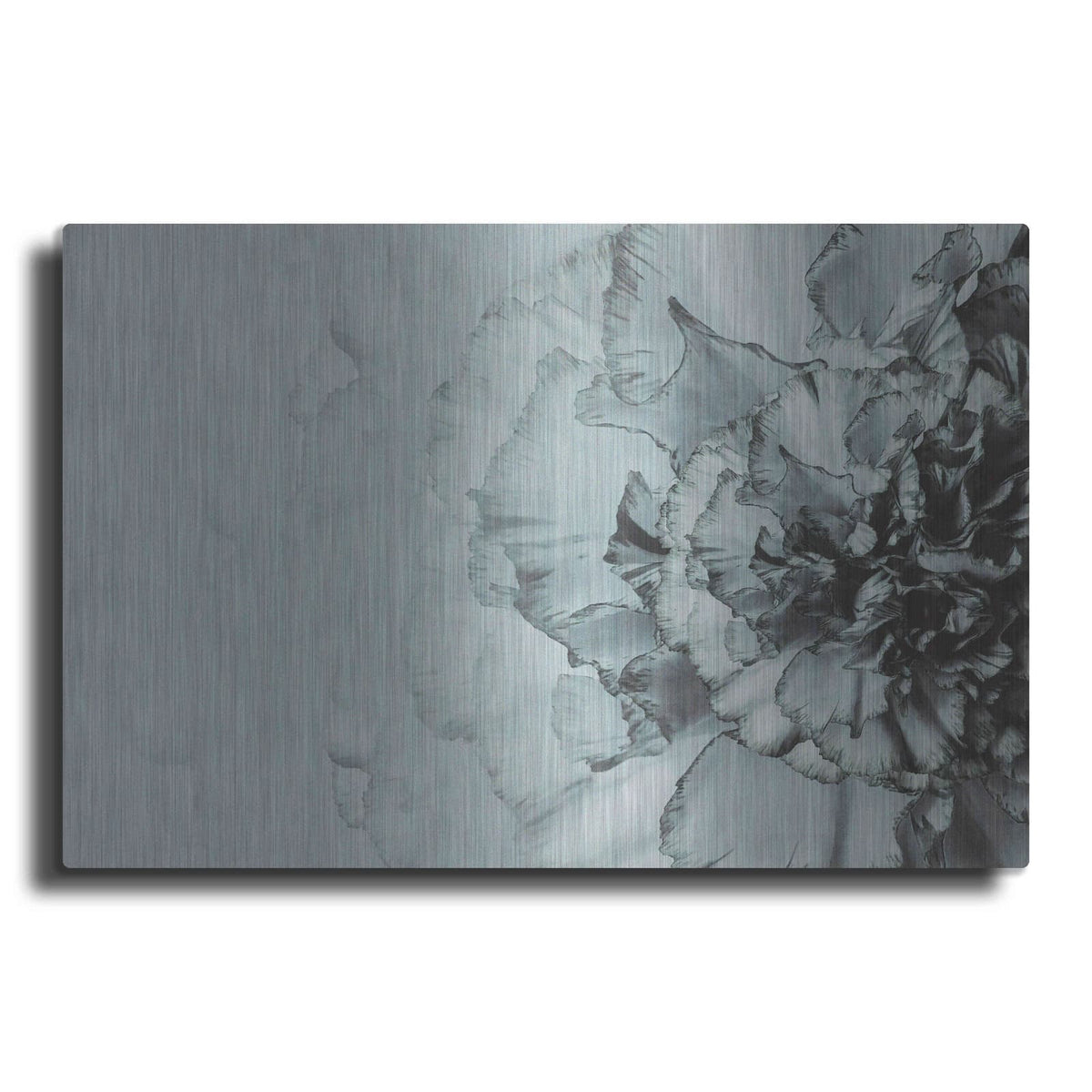 'Close Up Flower' by Incado – Metal Wall Art