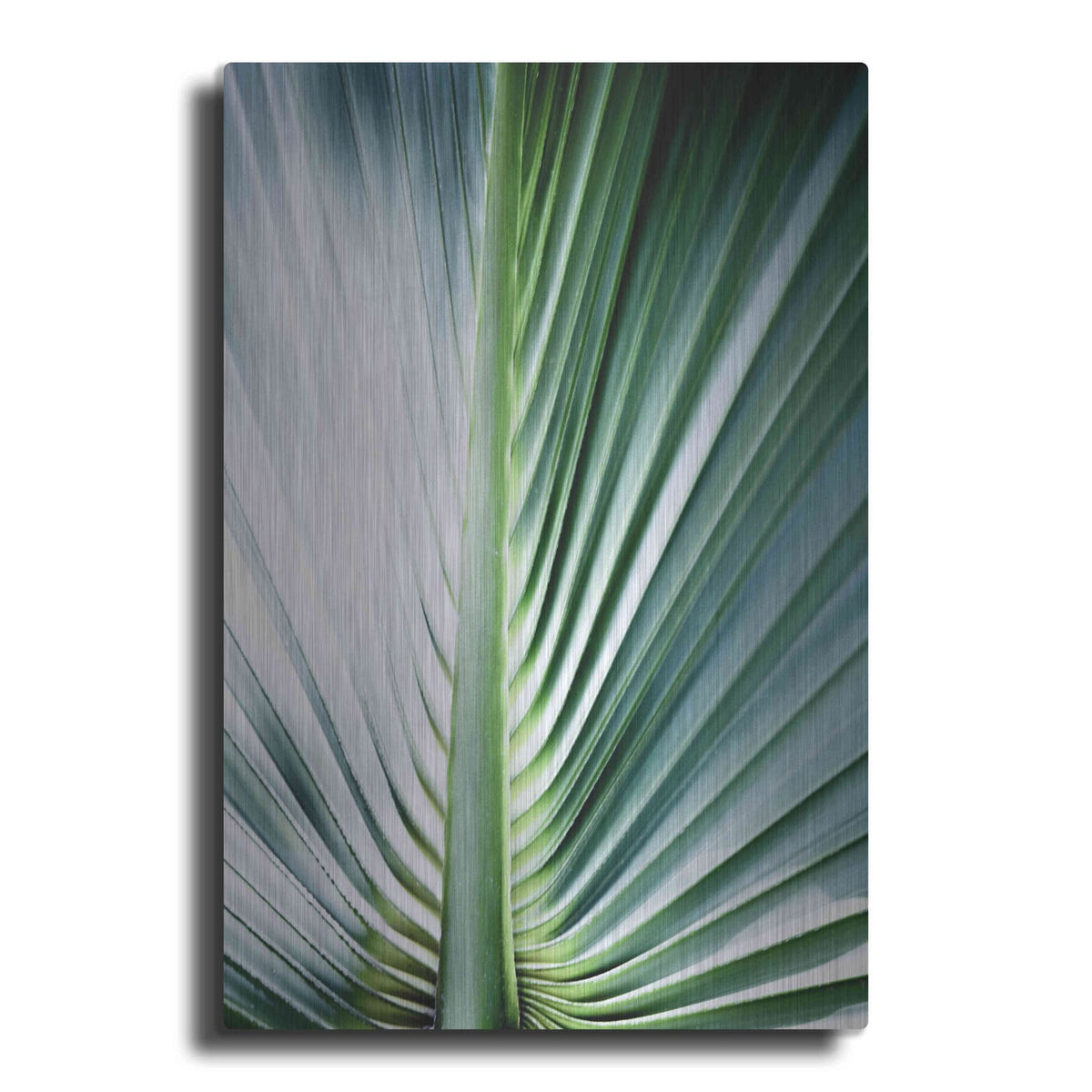 'Close Up III' by Incado – Metal Wall Art