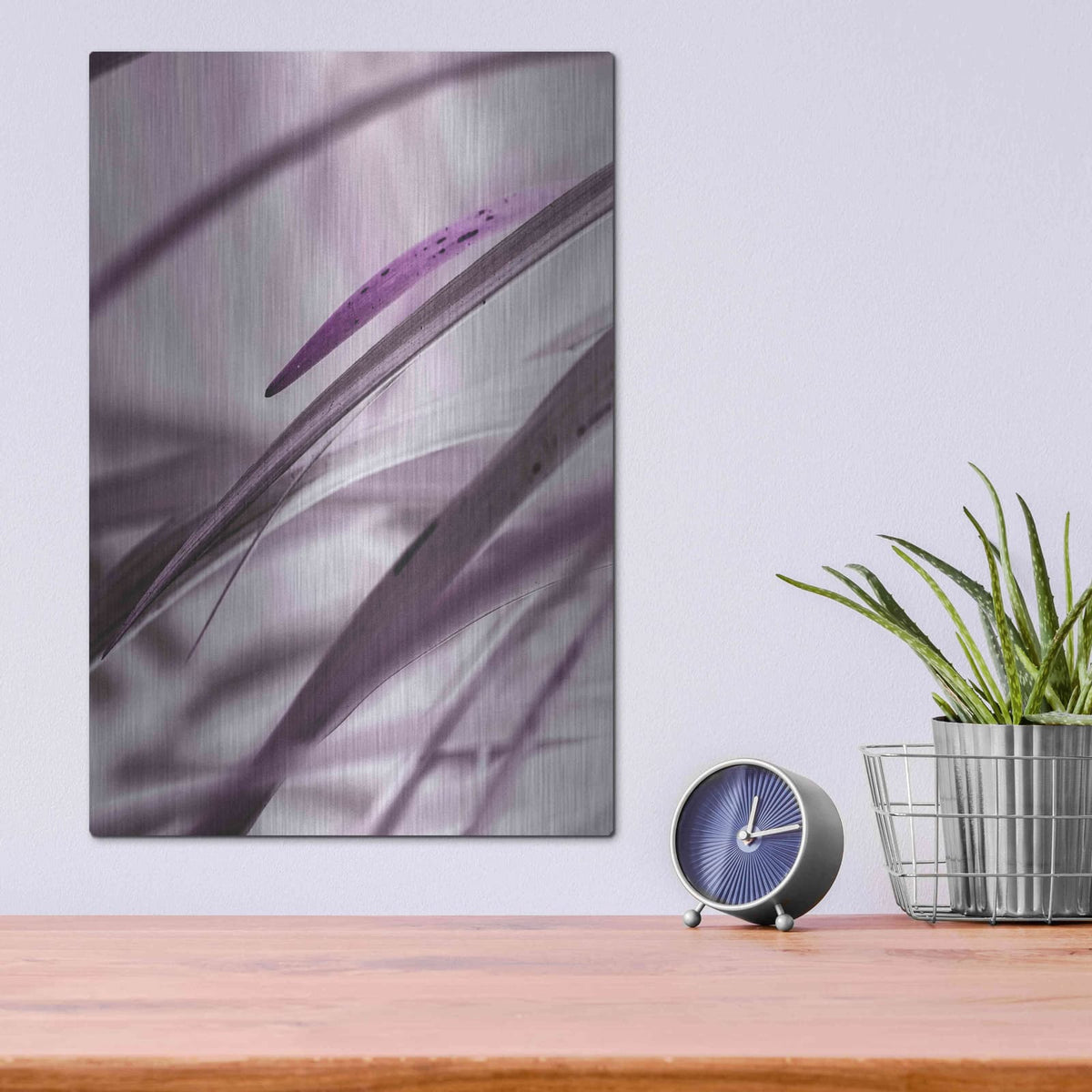'Close Up XI' by Incado – Metal Wall Art, 12x16 room view