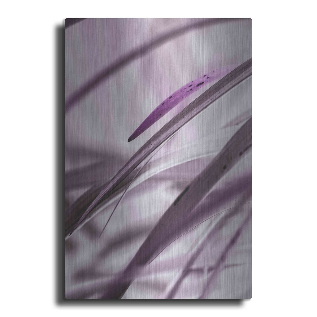 'Close Up XI' by Incado – Metal Wall Art
