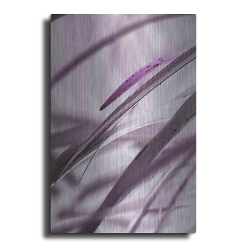 'Close Up XI' by Incado – Metal Wall Art