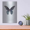'Great Mormon' by Incado – Metal Wall Art, 12x16 room view