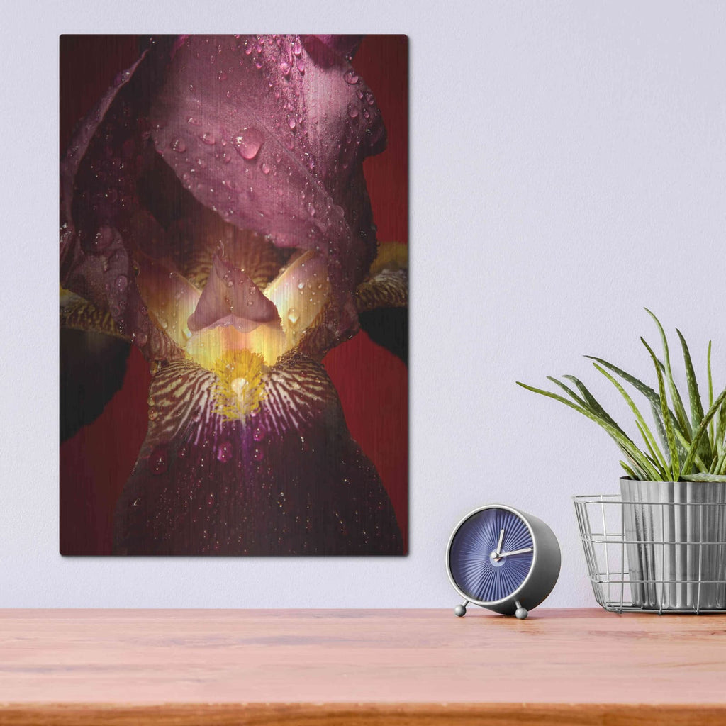 'Red Flower' by Incado – Metal Wall Art, 12x16 room view