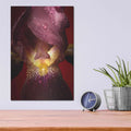 'Red Flower' by Incado – Metal Wall Art, 12x16 room view