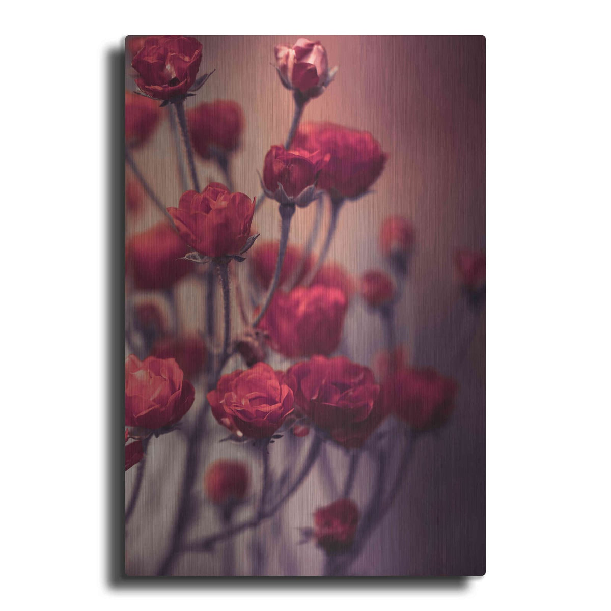 'Red Flowers' by Incado – Metal Wall Art