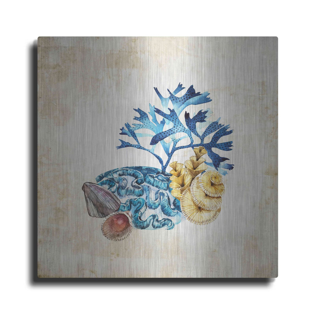 'Sea Life II' by Incado – Metal Wall Art
