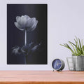'Single Flower' by Incado – Metal Wall Art, 12x16 room view