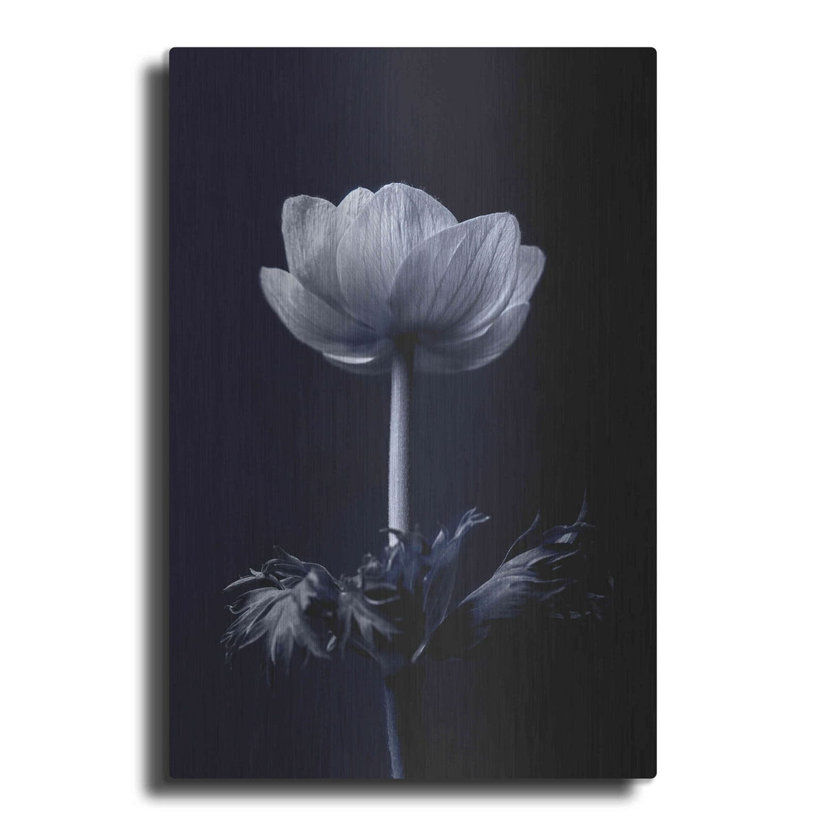 'Single Flower' by Incado – Metal Wall Art