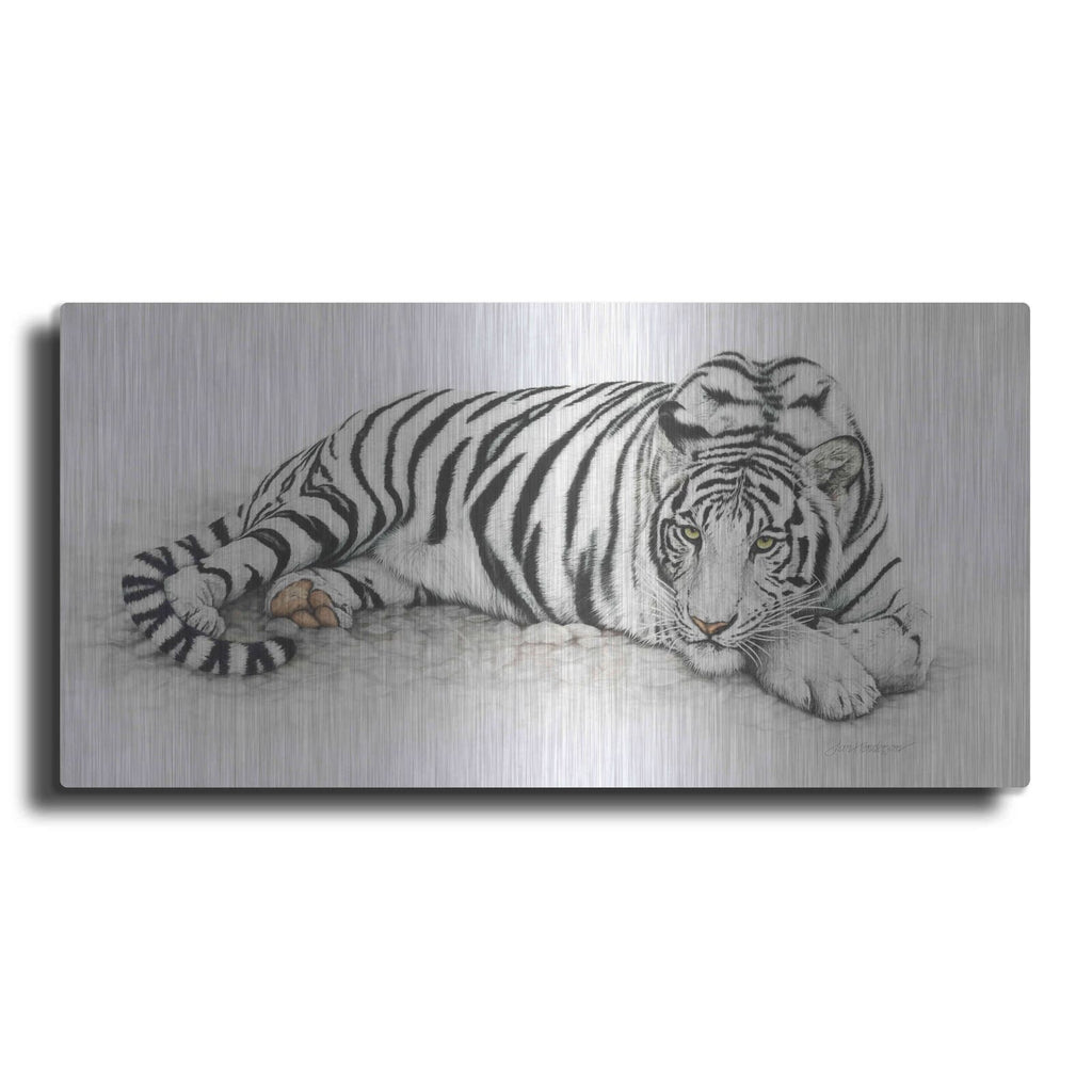 'Siberian Tiger' by Jan Henderson – Metal Wall Art