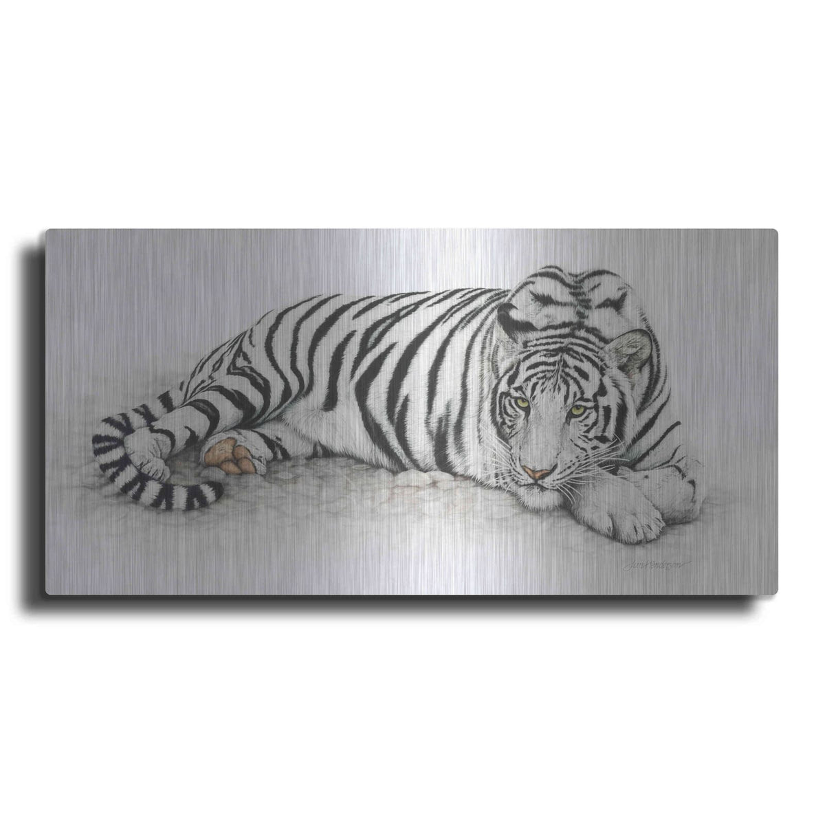 'Siberian Tiger' by Jan Henderson – Metal Wall Art