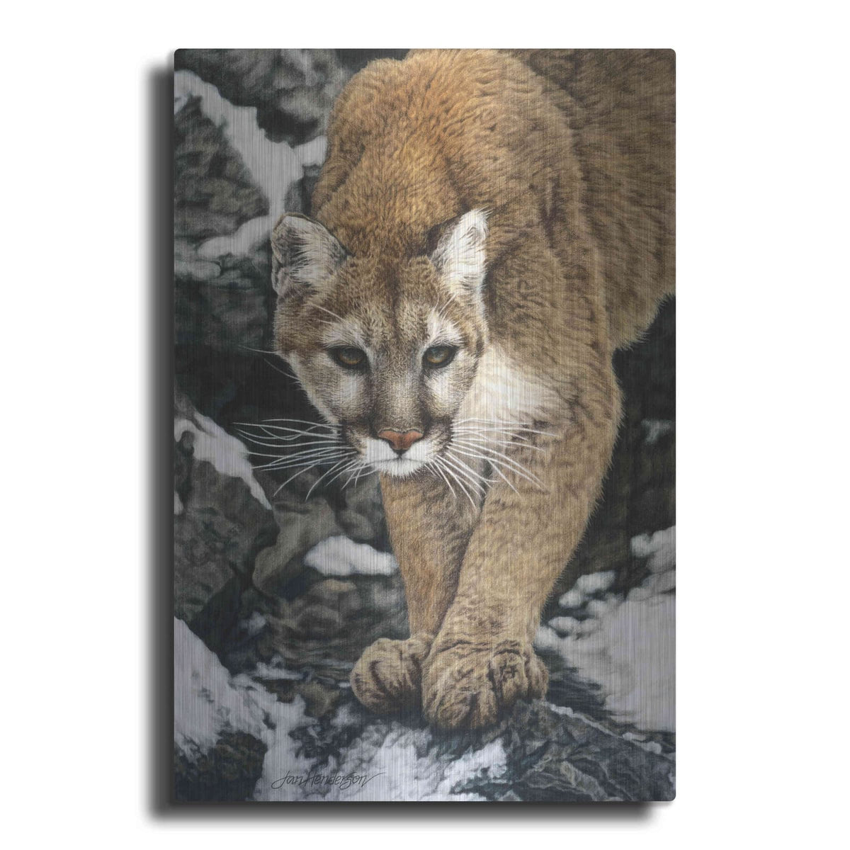 'Silent Approach' by Jan Henderson – Metal Wall Art
