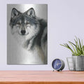 'Silent Watch' by Jan Henderson – Metal Wall Art, 12x16 room view
