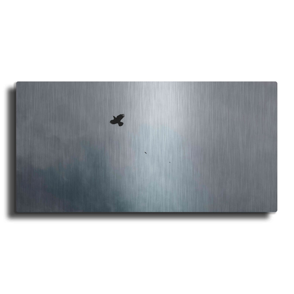 'Adventurous' by Luxe Metal Portfolio – Metal Wall Art