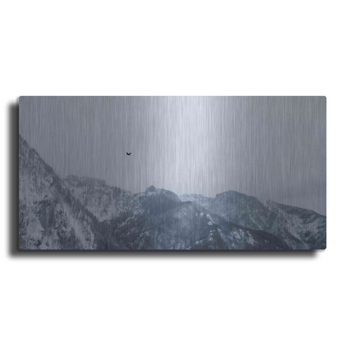 'Alpine Winter Bird' by Luxe Metal Portfolio – Metal Wall Art