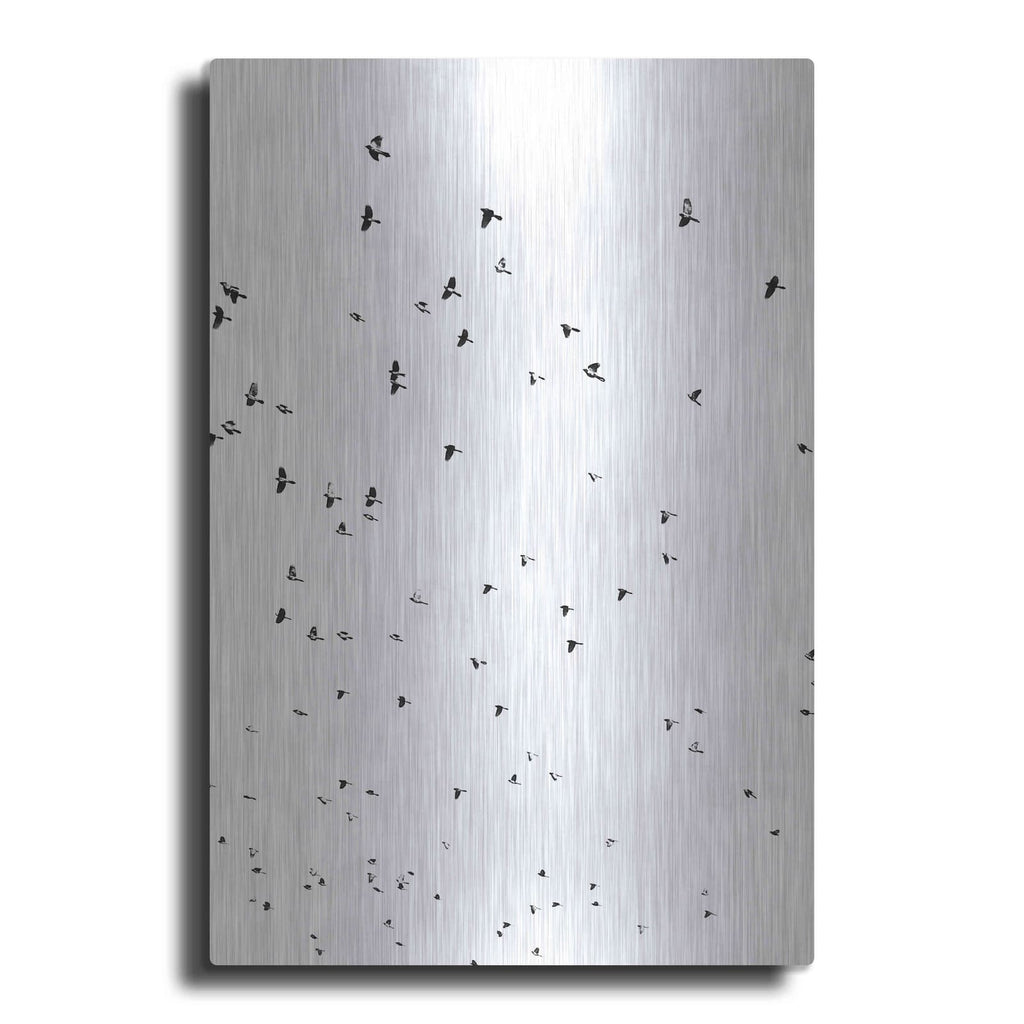 'Bird Constellation' by Luxe Metal Portfolio – Metal Wall Art