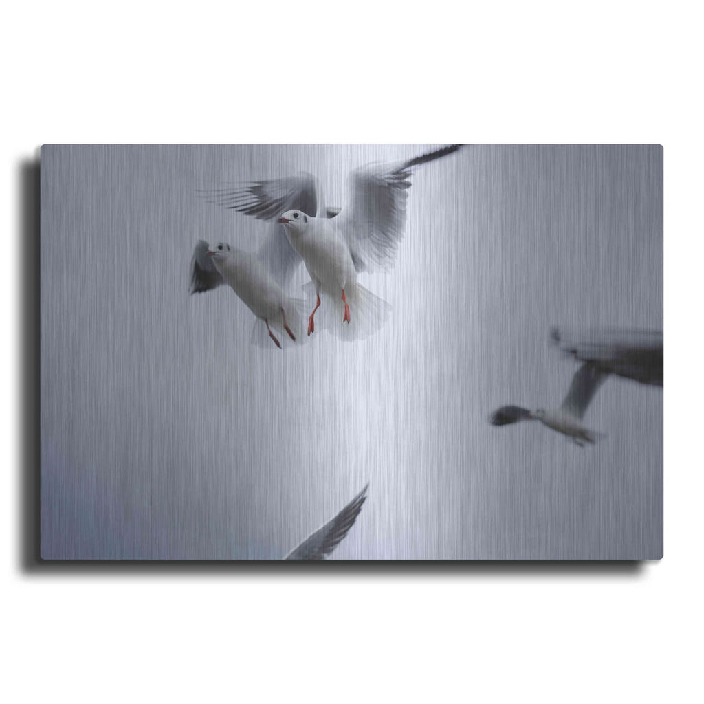 'Bird Hug' by Luxe Metal Portfolio – Metal Wall Art
