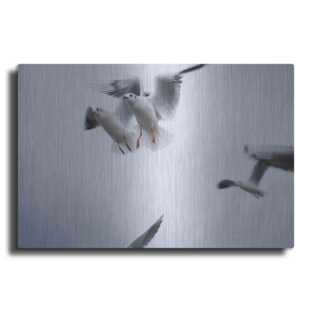 'Bird Hug' by Luxe Metal Portfolio – Metal Wall Art