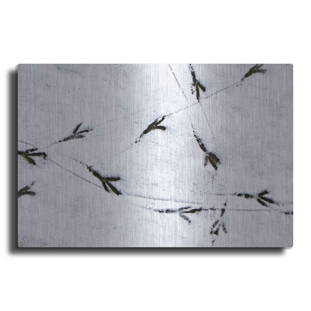 'Bird's footprints' by Luxe Metal Portfolio – Metal Wall Art