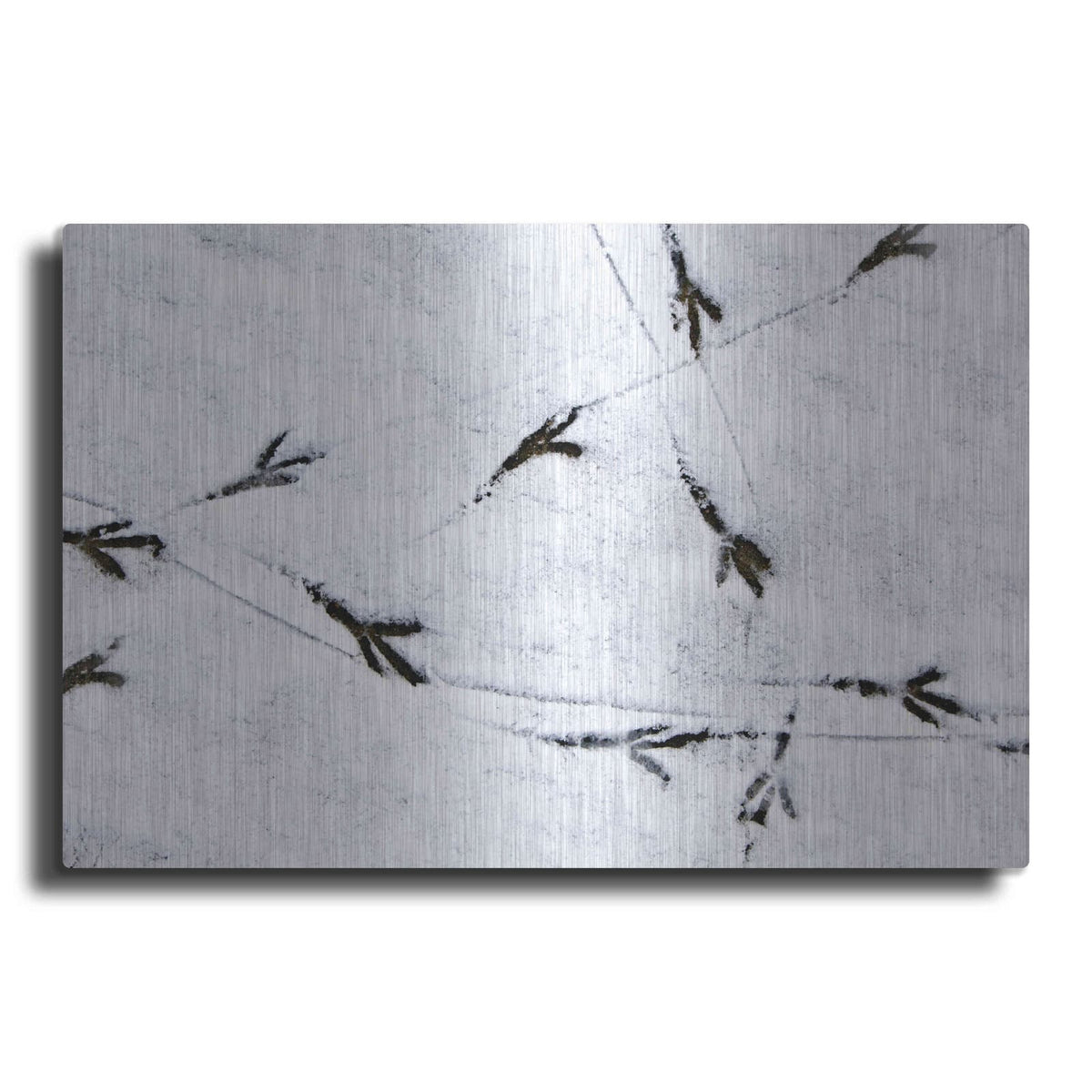 'Bird's footprints' by Luxe Metal Portfolio – Metal Wall Art