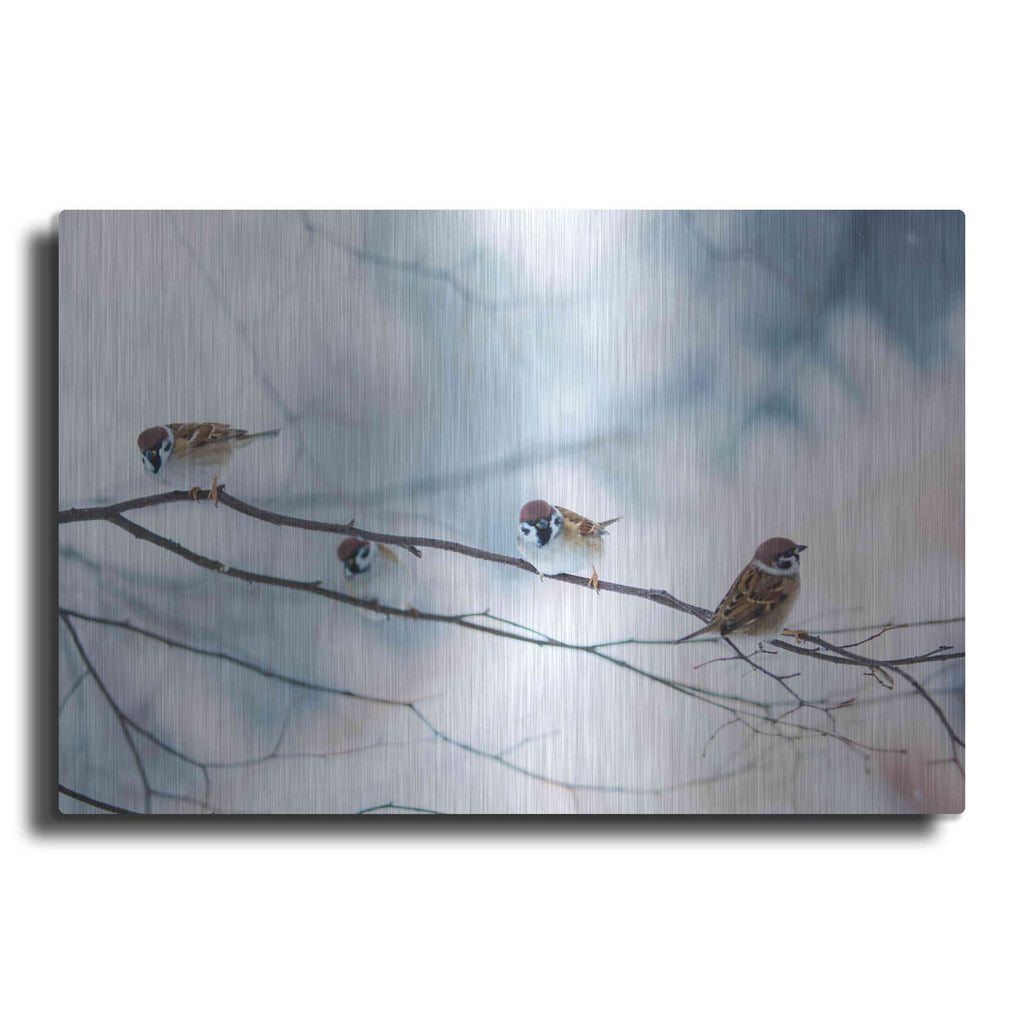 'Bird Feeders Treehouse' by Luxe Metal Portfolio – Metal Wall Art