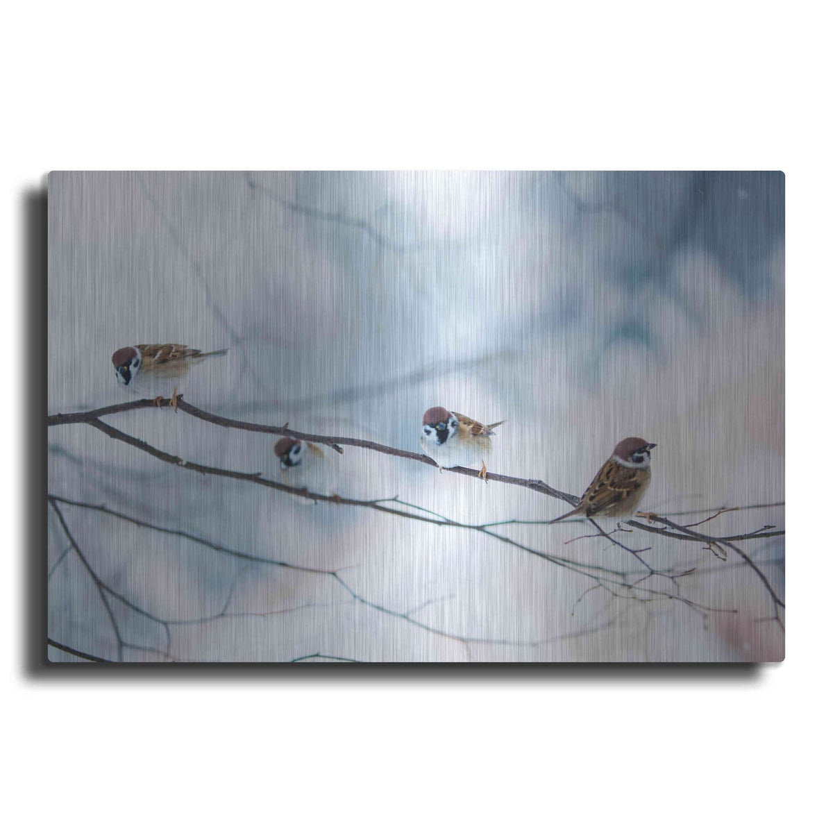 'Bird Feeders Treehouse' by Luxe Metal Portfolio – Metal Wall Art