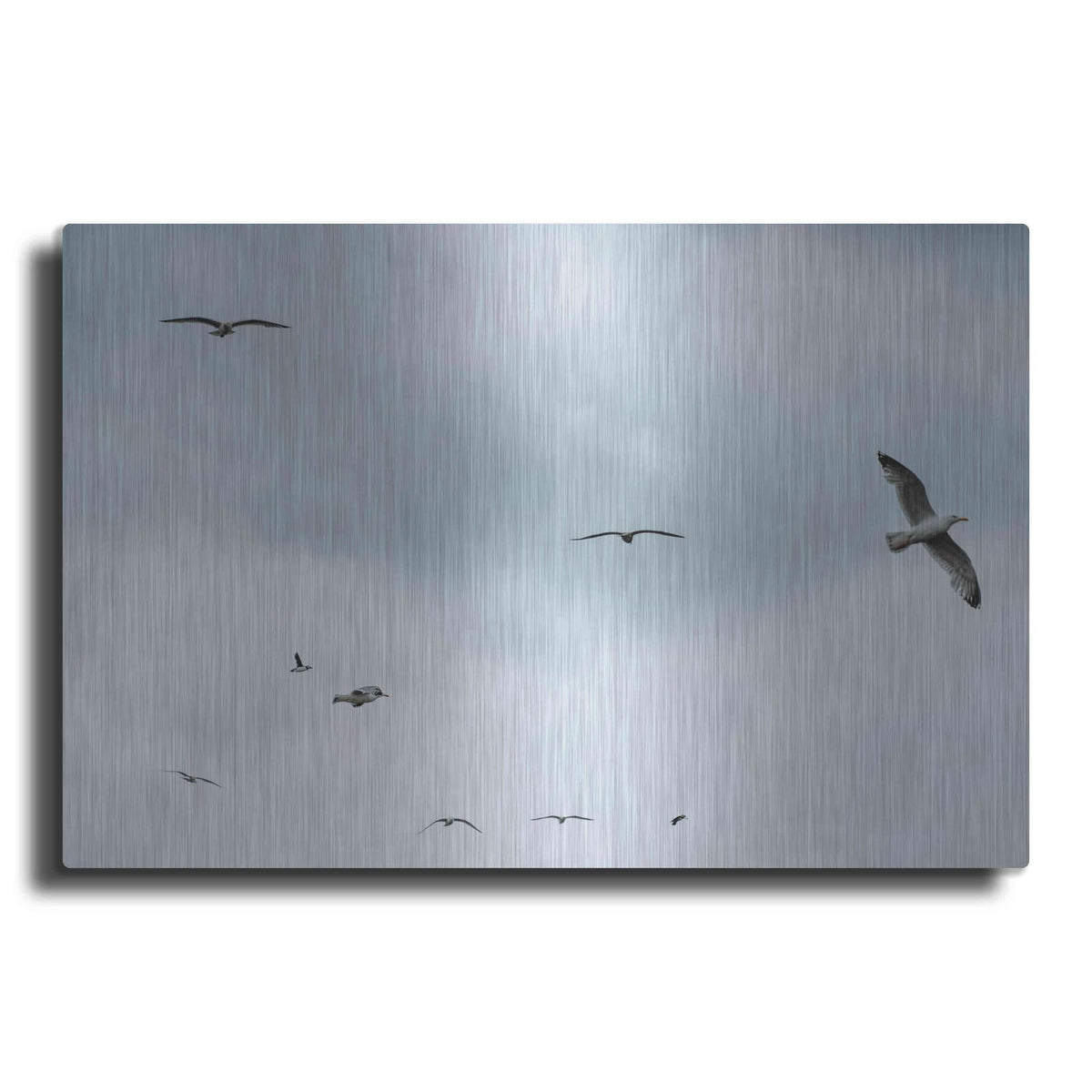'Sky Patrol' by Luxe Metal Portfolio – Metal Wall Art