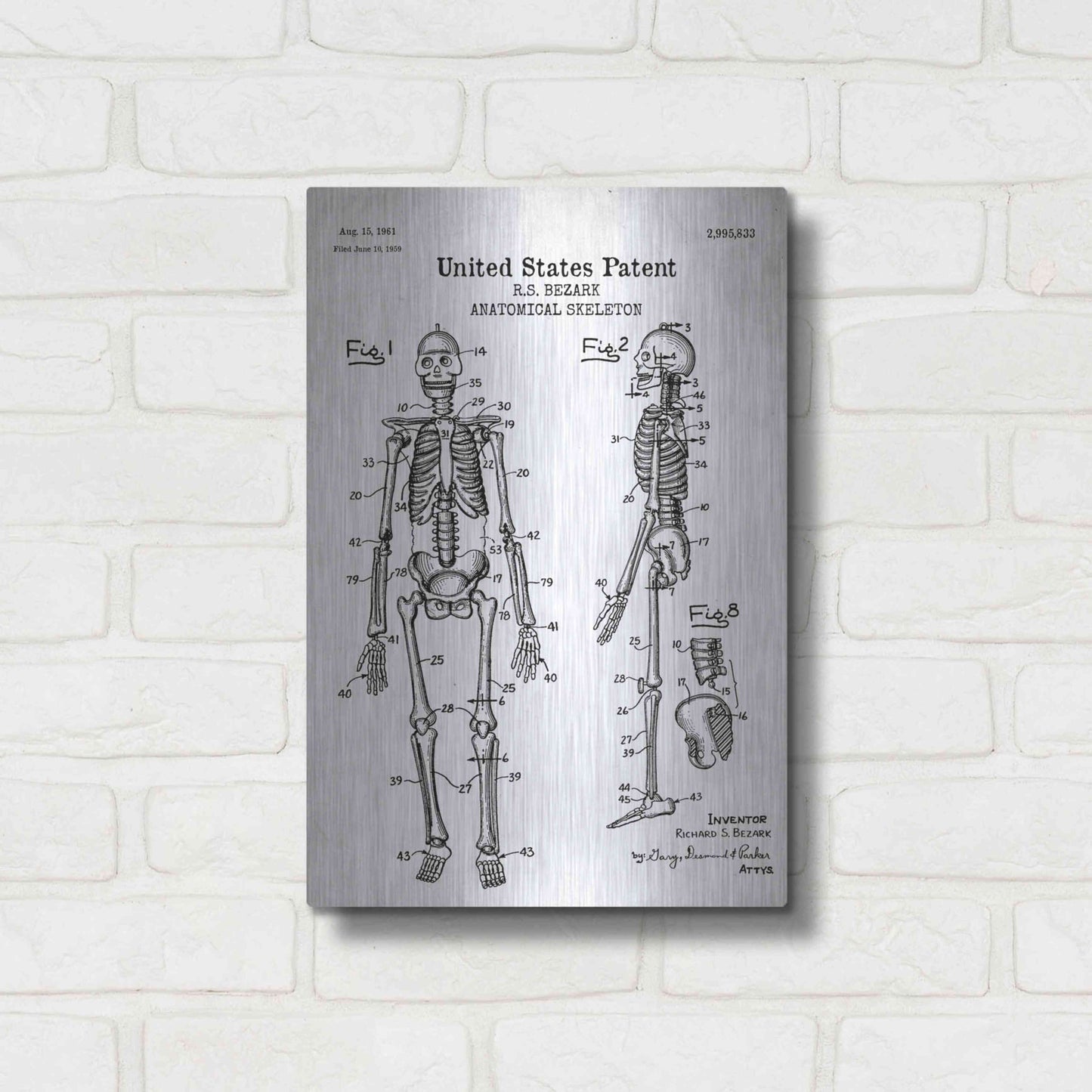 Luxe Metal Art 'Anatomical Skeleton Blueprint Patent White' Acrylic Glass Wall Art,12x16