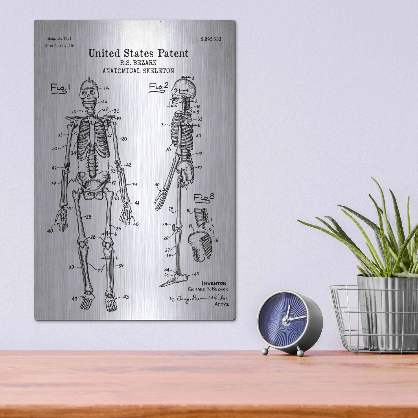 Luxe Metal Art 'Anatomical Skeleton Blueprint Patent White' Acrylic Glass Wall Art,12x16