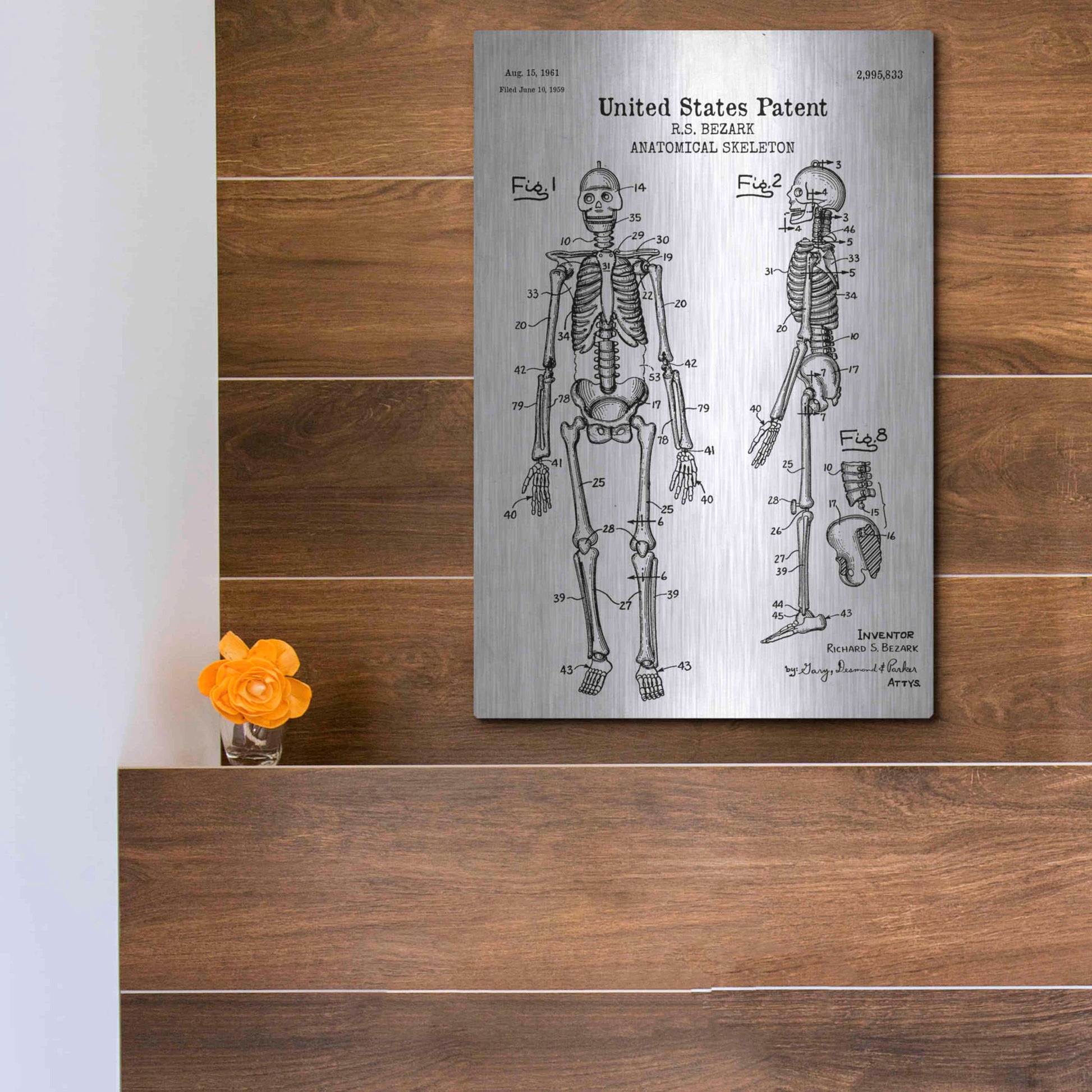 Luxe Metal Art 'Anatomical Skeleton Blueprint Patent White' Acrylic Glass Wall Art,12x16