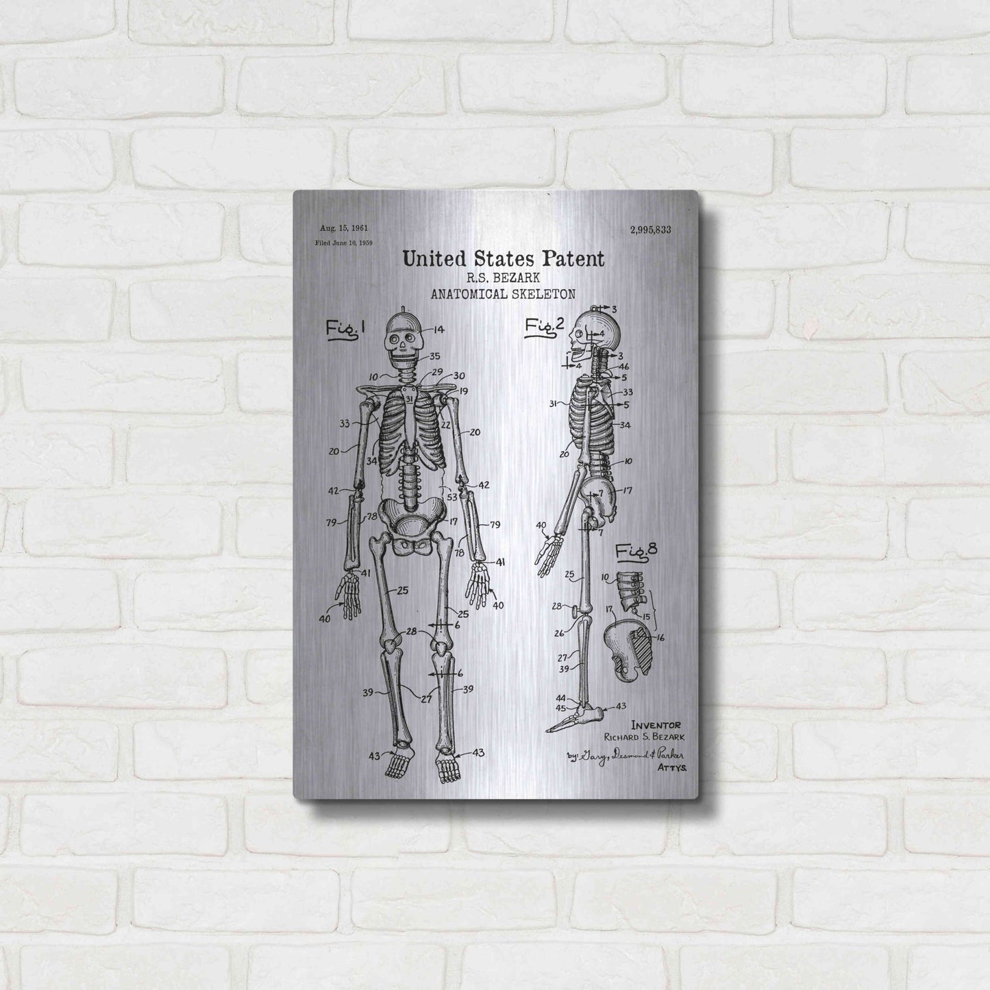 Luxe Metal Art 'Anatomical Skeleton Blueprint Patent White' Acrylic Glass Wall Art,16x24