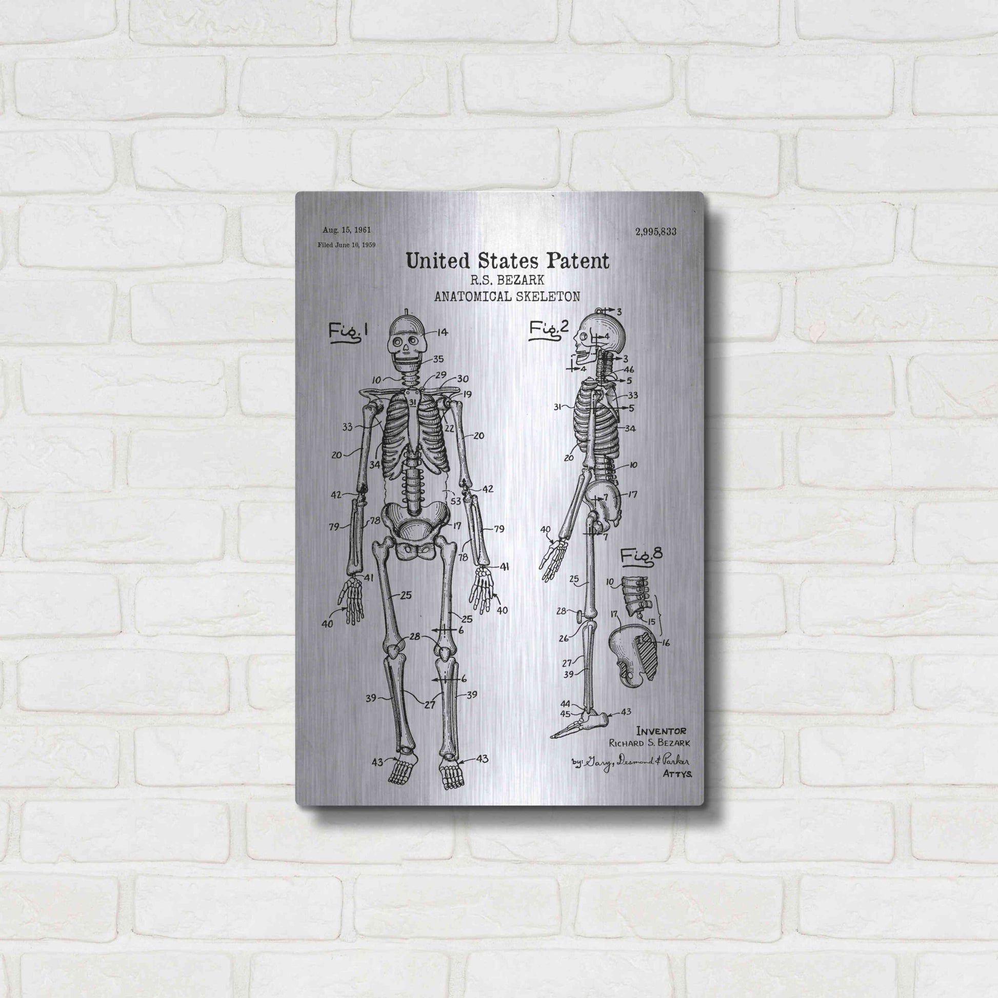 Luxe Metal Art 'Anatomical Skeleton Blueprint Patent White' Acrylic Glass Wall Art,16x24