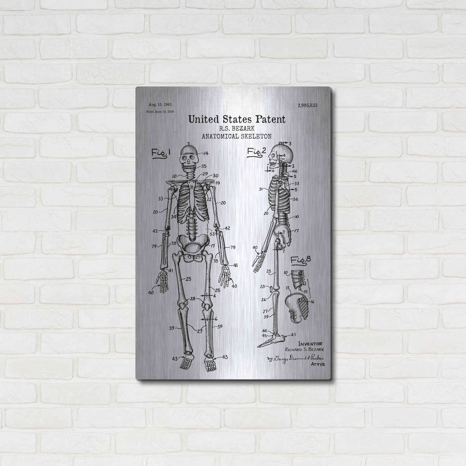 Luxe Metal Art 'Anatomical Skeleton Blueprint Patent White' Acrylic Glass Wall Art,24x36