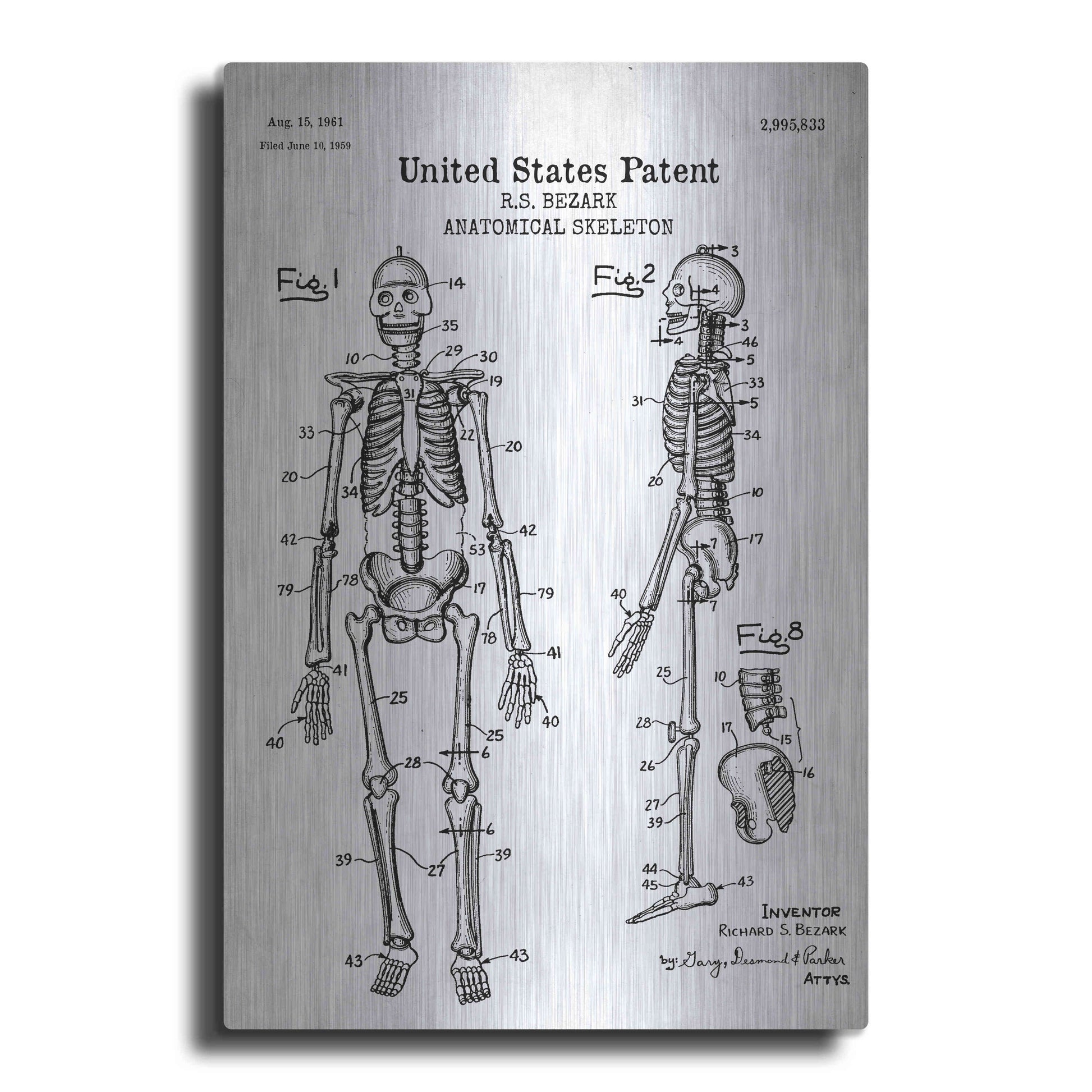 Luxe Metal Art 'Anatomical Skeleton Blueprint Patent White' Acrylic Glass Wall Art