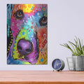 'Closeup Labrador' by Dean Russo – Metal Wall Art, 12x16 room view