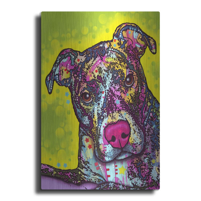'Brindle' by Dean Russo – Metal Wall Art