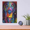 'Basset 2' by Dean Russo – Metal Wall Art, 12x16 room view