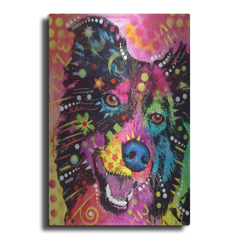 'Border Collie 2' by Dean Russo – Metal Wall Art