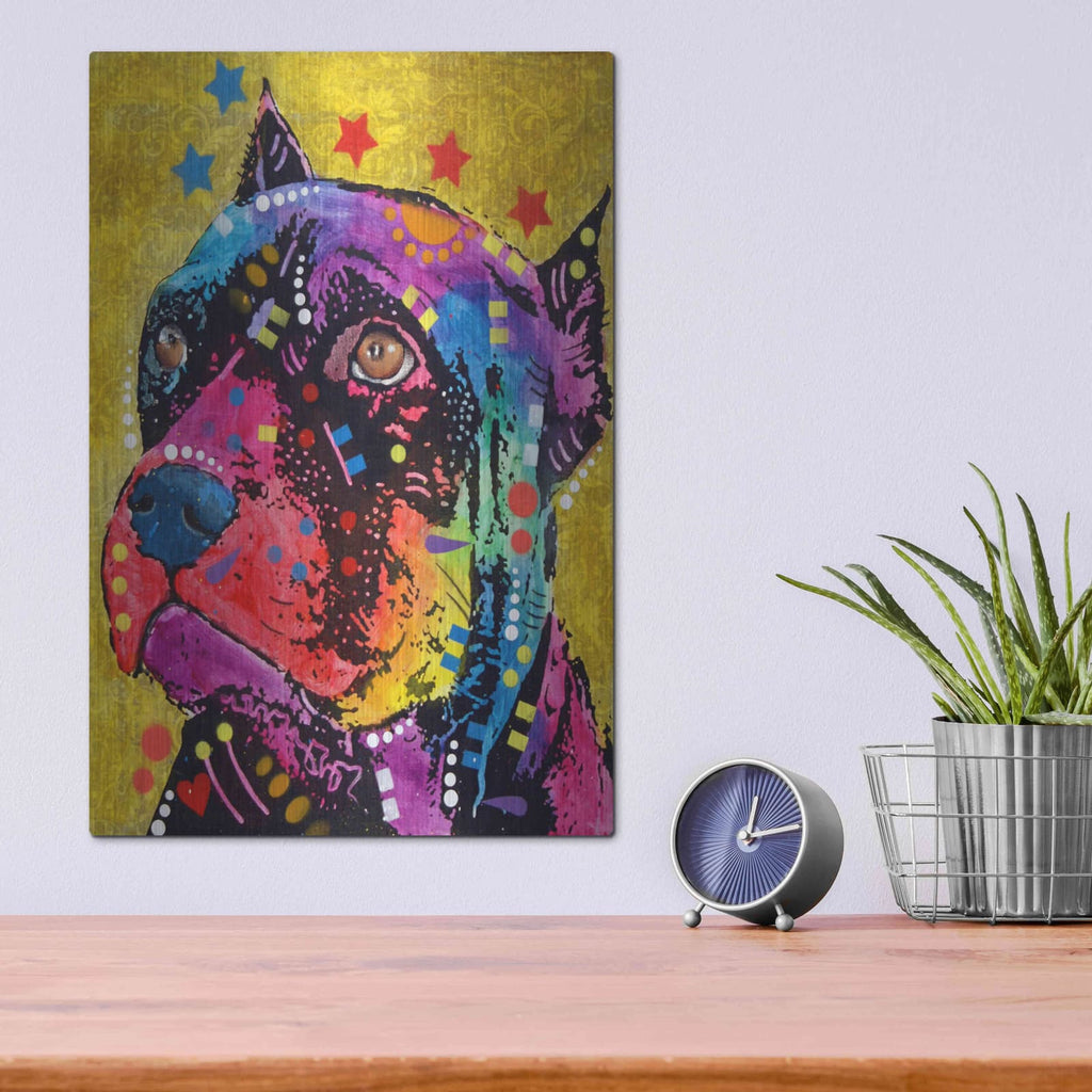 'Bri 1' by Dean Russo – Metal Wall Art, 12x16 room view