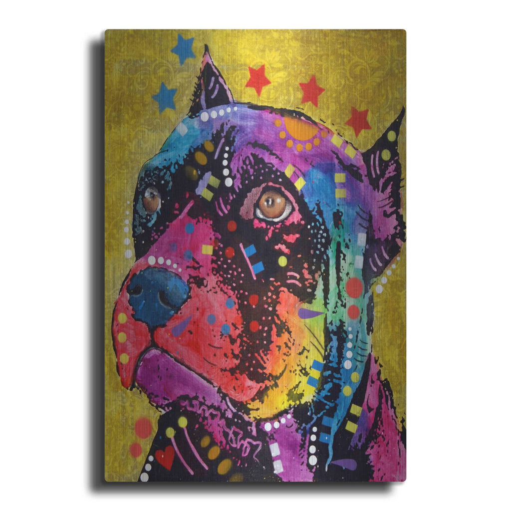'Bri 1' by Dean Russo – Metal Wall Art