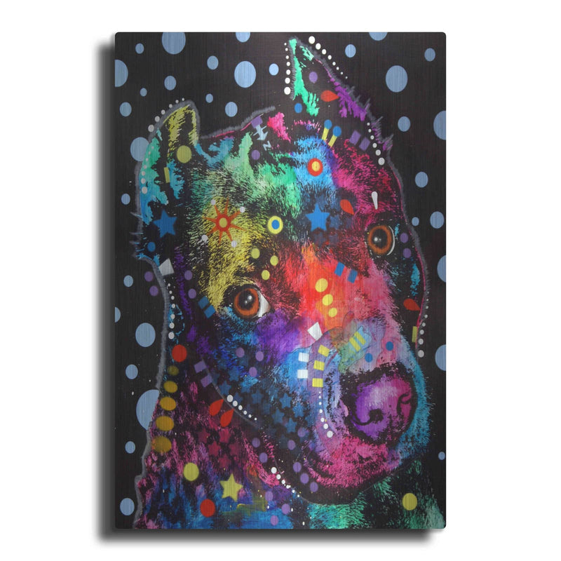 'Companion Pit' by Dean Russo – Metal Wall Art
